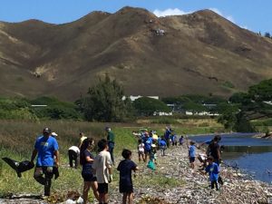 Volunteer and do something good in Hawaii