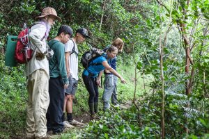 learn about Hawaiis nature while volunteering