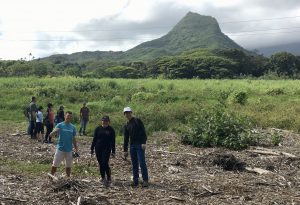Volunteer in Hawaii with travel2change