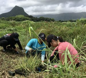 Get dirty while doing something good in Hawaii