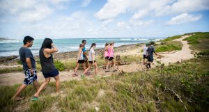 Hike and explore Turtle Bay with travel2change