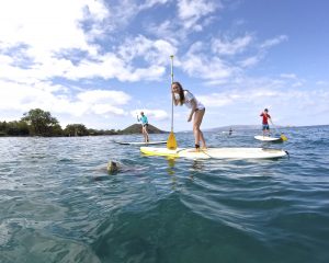 Stand Up Paddling in Hawaii