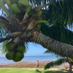 Experience the real Hawaiian culture and nature