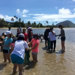 Volunteer in Hawaii