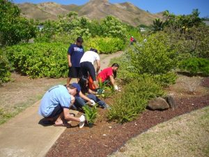 Planting native plants at Kaha Gardens
