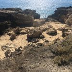 Volunteer in Oahu