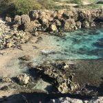 Coastal Restoration Oahu
