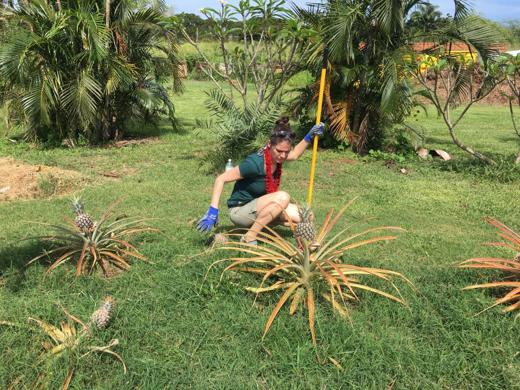 River Adventure Farm Restoration Near Oahu S Shore Travel2change