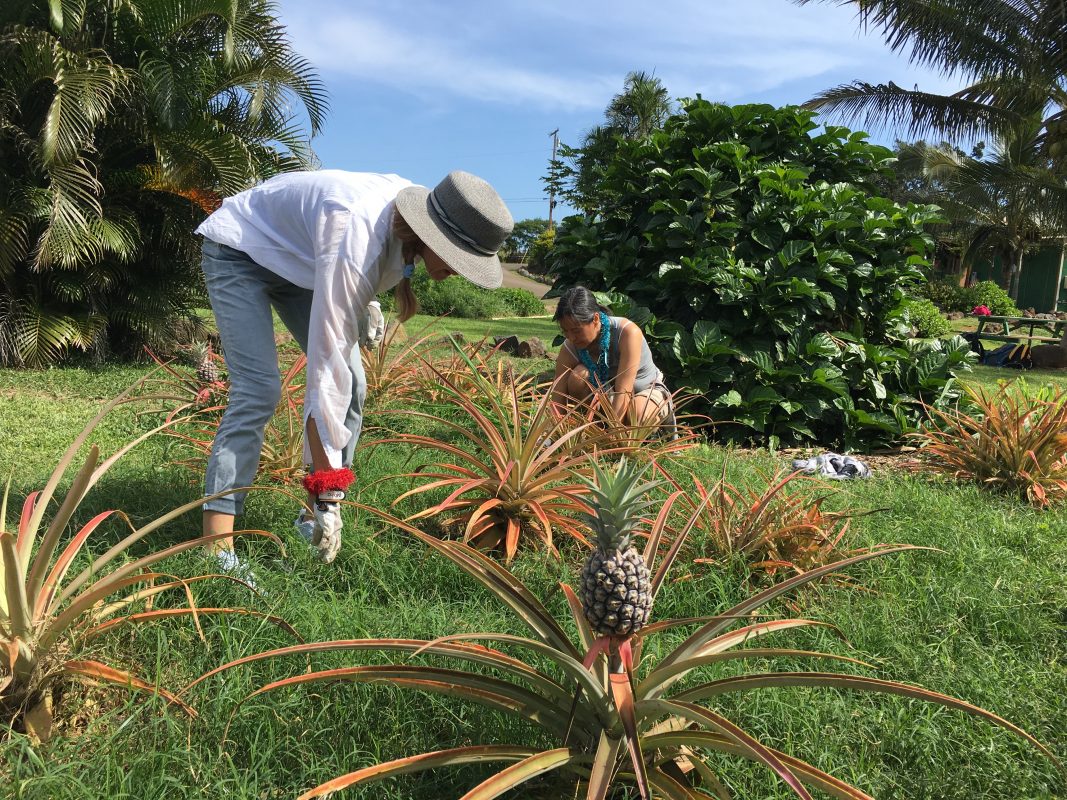 River Adventure Farm Restoration Near Oahu S Shore Travel2change