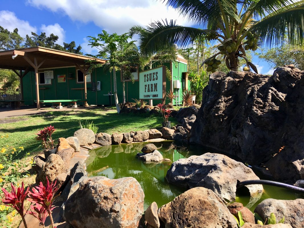 River Adventure Farm Restoration Near Oahu S Shore Travel2change