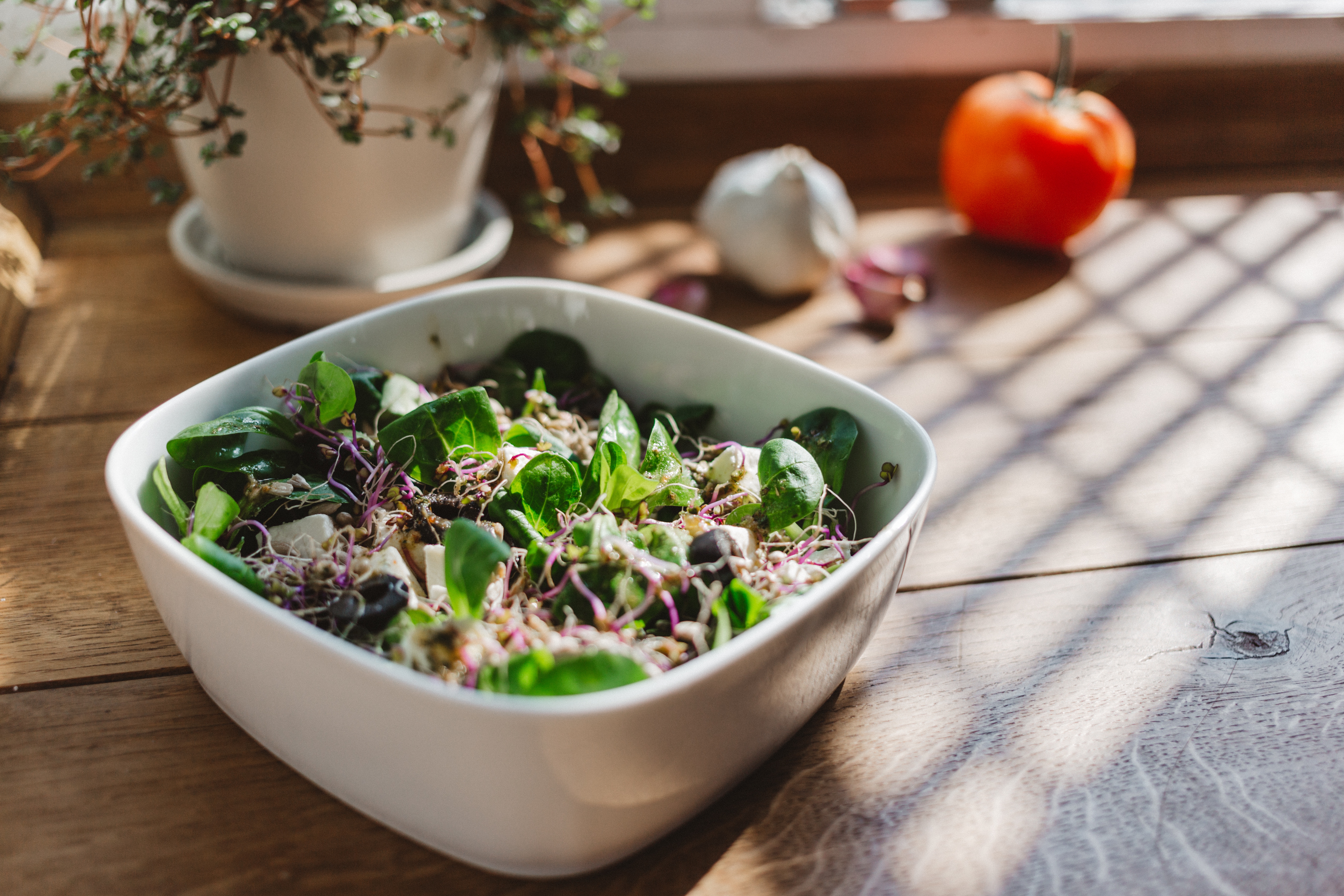 Salad food. Киноа микрозелень. Руккола микрозелень. Миска для салата. Салатница с салатом.