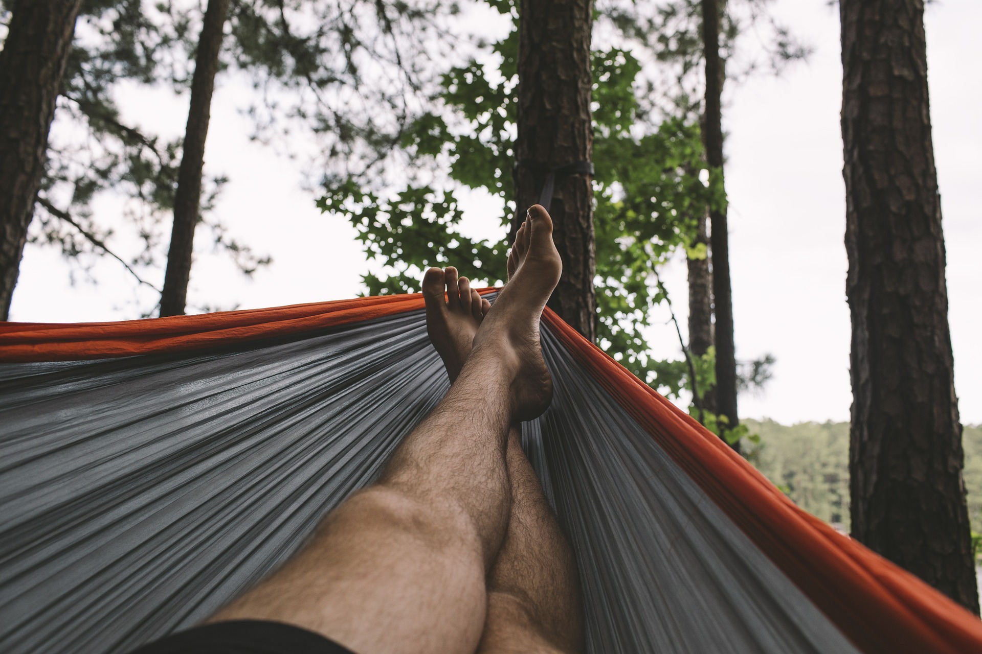 holiday hammock